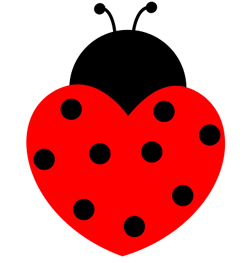 ladybug