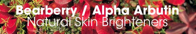 Featured: Bearberry & Alpha Arbutin